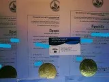 MANHATTAN INTERNATIONAL NOTARY and APOSTILLE SERVICES (On-Line M