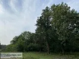 10.6 Acres of Land for sale in Murfreesboro (129900)