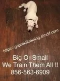 S0LV1NG K9 Problems
