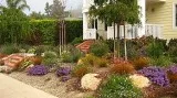 Landscape Design Services in San Diego North County
