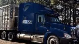 Class A CDL Livestock Truck Driver