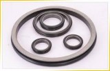 Leading Manufacturer and Service Provider for Duo Cone Seals