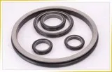 Leading Manufacturer and Service Provider for Duo Cone Seals