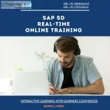 Sap sd online training