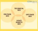 Best SEO company in noida India.