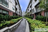 Royal Oak Brand New 1 Bed Condo w Patio  Eternity