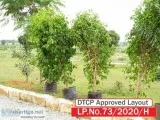 Amazing developed property great price in JP DARGA