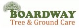 Find The Experienced Tree Surgeons In Lanark
