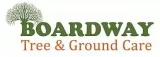 Find The Experienced Tree Surgeons In Lanark