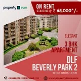 DLF Beverly Park 2 for Rent in Gurugram   3 BHK Apartments for R