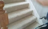 Carpet Cleaning