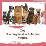 Dog Boarding Services in Virginia