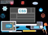 WEB DEVELOPMENT COMPANY