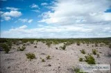 65 INCREDIBLE ACRES NEAR CREEK IN BIG BEND TEXAS AREA