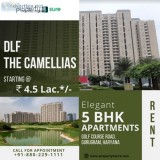 5 BHK Flat for Rent in DLF The Camellias  5 BHK Apartment for Re