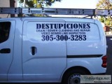 Miami beach destupiciones, 305 300 3283