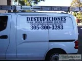 Miami beach destupiciones, 305 300 3283