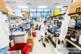 LabShares Newton - Shared Lab Space for Rent in Massachusetts fo