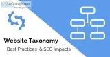 Hire the Professional SEO Services in Noida