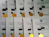 APOSTILLED GERMAN TRANSLATION SERVICES (Open 7 Days a Week)