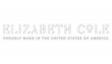 Tate Earrings - Elizabeth Cole Jewelry