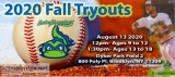 Baseball WorkoutTryout