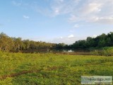 Agriculture Land Red Soil with Water  Facility 23 acre
