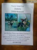 Lost my best friend