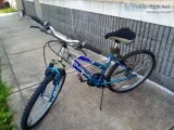 ROADMASTER FASTBACK BIKE