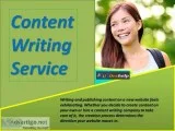 Content Writing Service