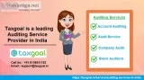 Auditing Services in Delhi