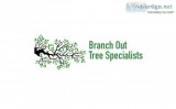 Branch Out Tree Specialist
