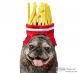 French Fries Dog Headpiece Costume