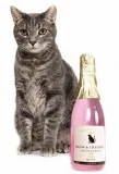 The pet winery - customized treats