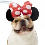 Minnie Mouse Ears Dog and Cat Costume