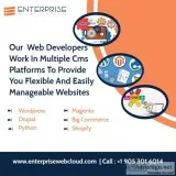 Web design and development services in Mississauga