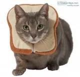 Bread Cat Costume One Size