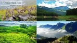MUNNAR TOUR PACKAGES