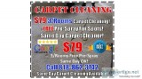 79 Carpet Cleaning