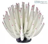 Tetra Blooming Collection Anemone Aquarium Decor White