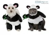 Walking Panda Dog and Cat Costume