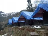 Group Camping in Dhanaulti  Camp O Royale Dhanaulti