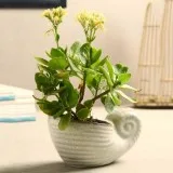 Buy Online House Decor Products at Unravel India