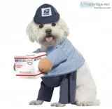 USPS Delivery Driver Dog Costume