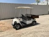 YAMAHA G16A GOLF CART 10403203