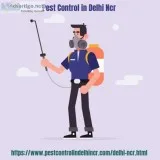 pest control in Delhi NCR