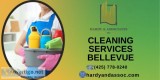 Keep Your Office Clean With Best Cleaning Services Bellevue