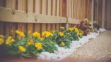 Questions to Ask Before Hiring a Landscaping Service - Scott s L