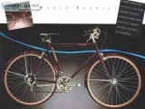 VINTAGE SCHWINN