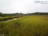 Land for Sale in Beaufort  00 Acreage N. River